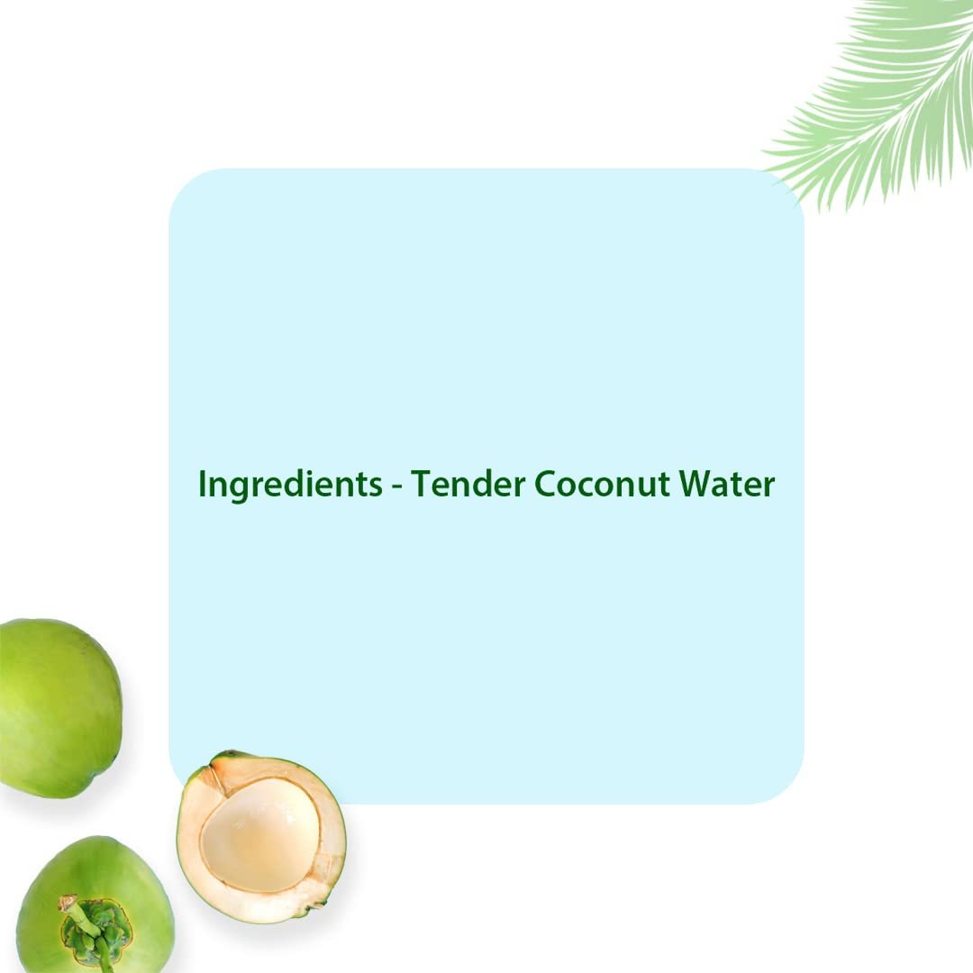 Tender Coconut Water (27x200ml) | Pure and Raw Coconut Water | Enriched with Vitamins & Minerals | No Artificial Flavors, Fragrance, Sugar Additives, or Sweeteners | Nariyal Pani On-The-Go - Image 5