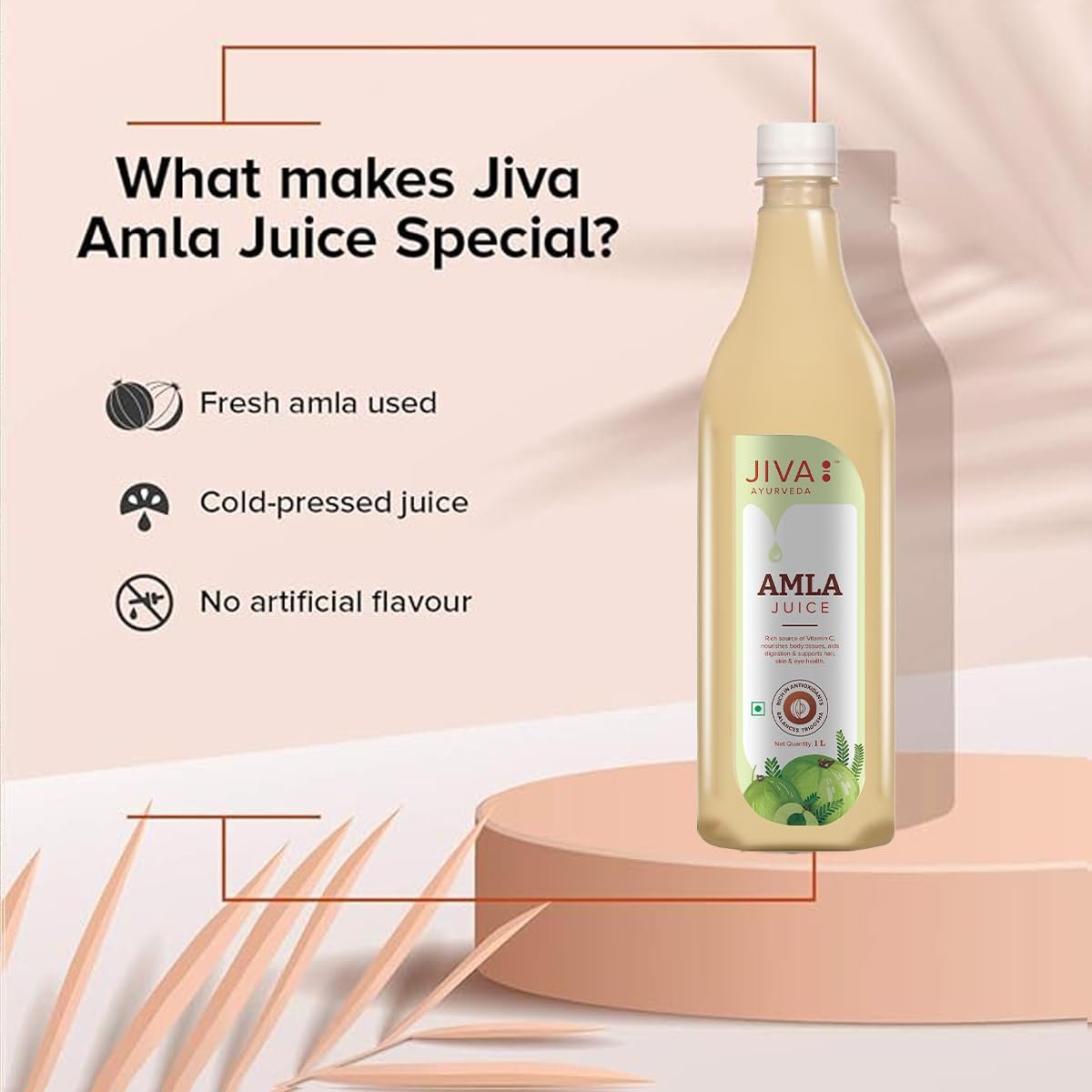 Jiva Amla Juice 1 Litre | Improves Digestion, Boosts Immunity, Promotes Healthy Hair & Skin | Cold Pressed Fresh Amlas, Rich in Vitamin C & Antioxidants, With No Artificial Flavours (Pack of 1) - Image 4