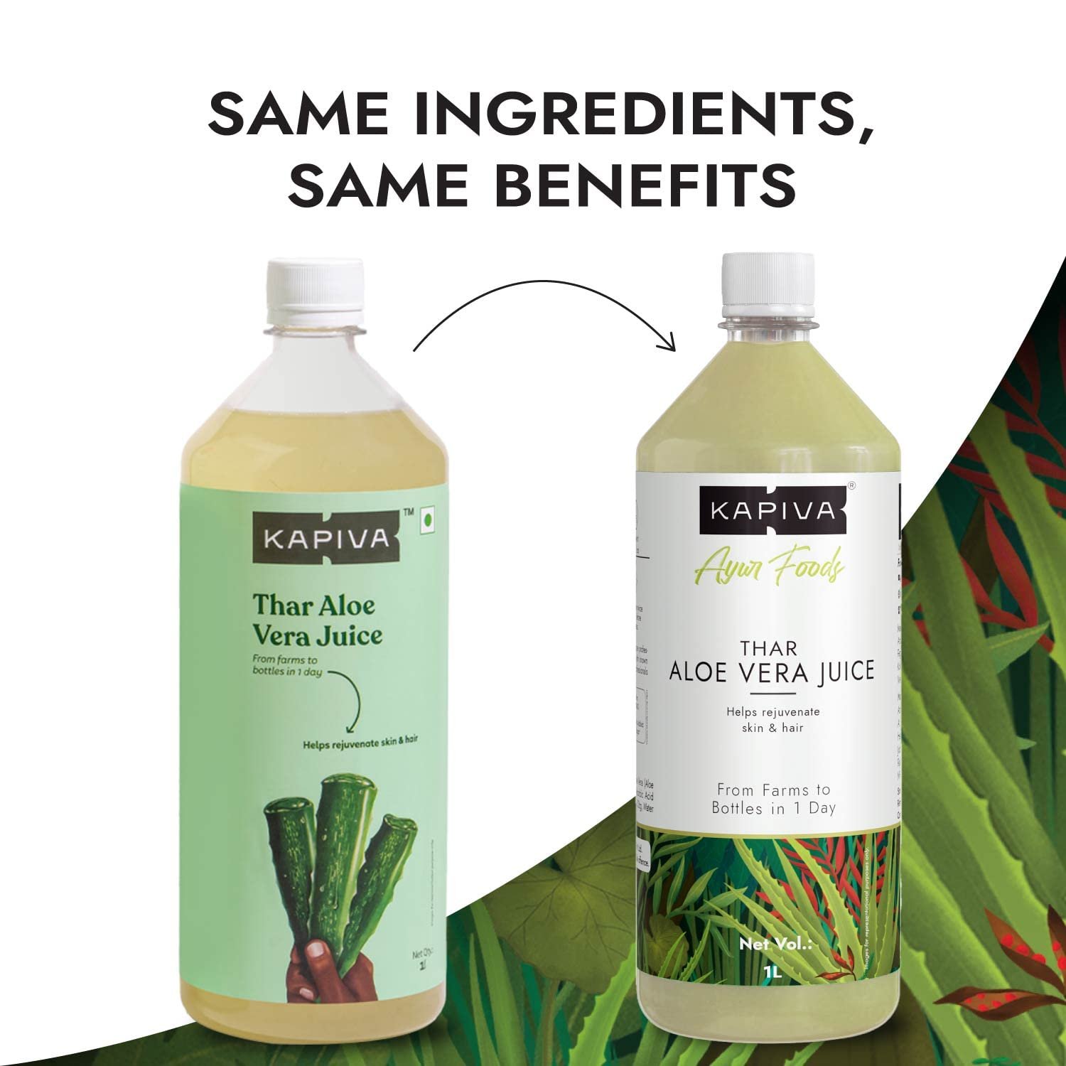 Thar Aloe Vera Juice (With Pulp) | Rejuvenates Skin And Hair | Natural Juice Made Within 4 Hours Of Harvesting | No Added Sugar, 1L - Image 2