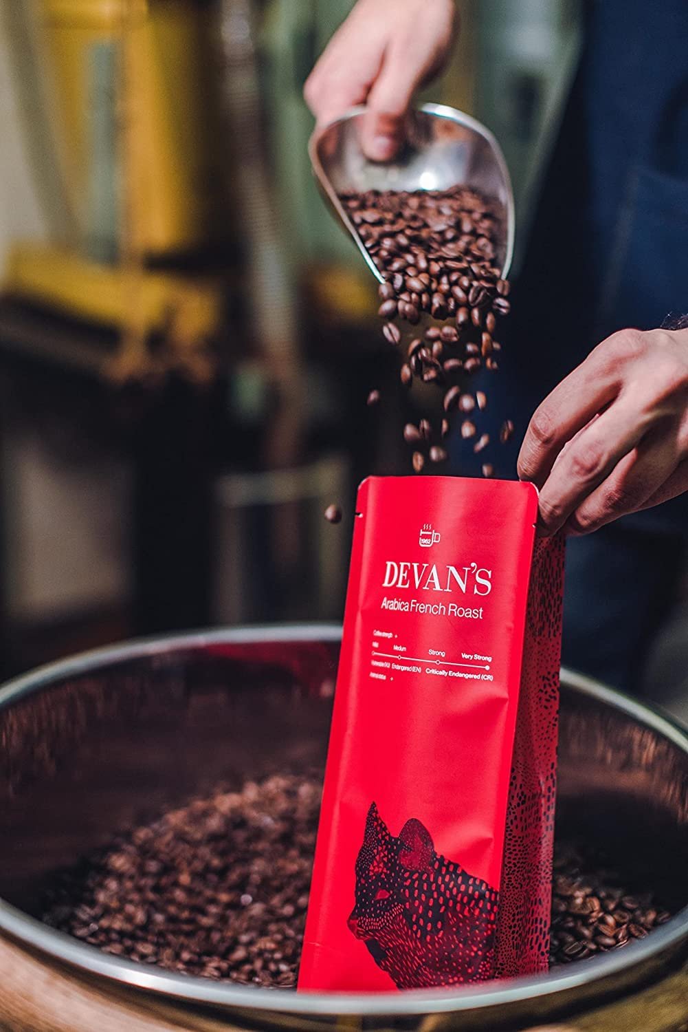 South Indian Arabica French Roast Filter Coffee Powder : Coffee : 100%, (Strong Roast) 500 Gms (Powder) Regular Coffee For Morning, After Noon And Night - Bag - Image 3