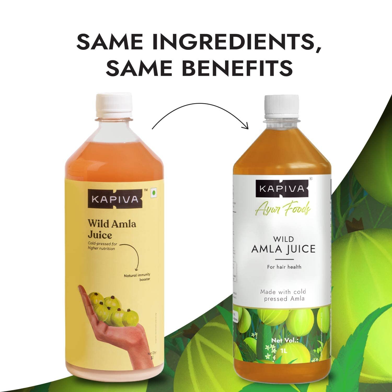 Wild Amla Juice (2L) | Suitable for healthy Hair & Skin | Detox juice for weight loss | Natural Source of Vitamin C | Organic & Natural Made With Cold Pressed Amla from Pratapgarh | No Added Sugar | Super Saver Pack of 2 - Image 2