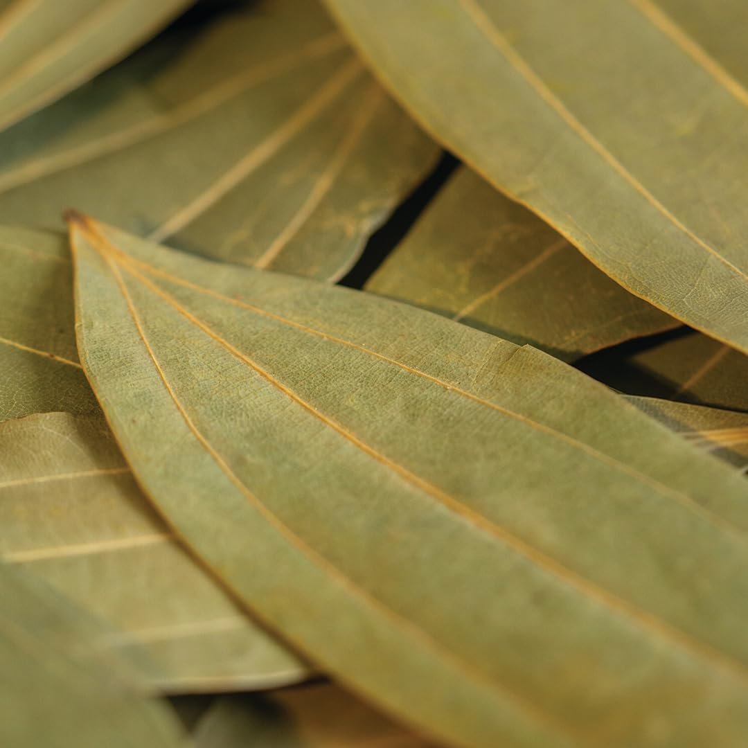 Bay Leaf (Tejpatta) - 50gm Each Pack of 2 | Tez patta | Organic Indian Whole Spices | Bay Leaf Dry Leaves | Handpicked and Carefully Packed | No Preservatives - Image 5
