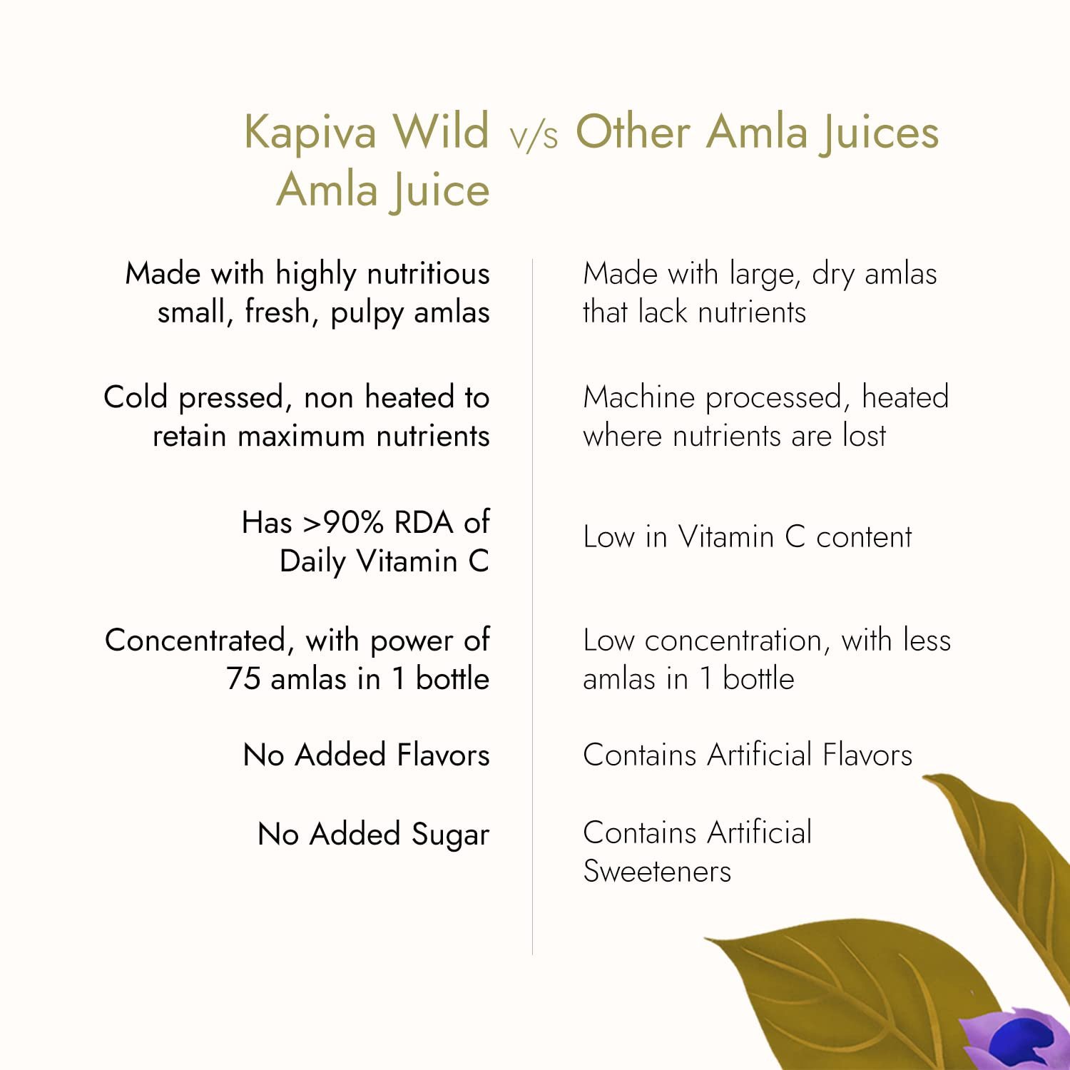 Wild Amla Juice (2L) | Suitable for healthy Hair & Skin | Detox juice for weight loss | Natural Source of Vitamin C | Organic & Natural Made With Cold Pressed Amla from Pratapgarh | No Added Sugar | Super Saver Pack of 2 - Image 6