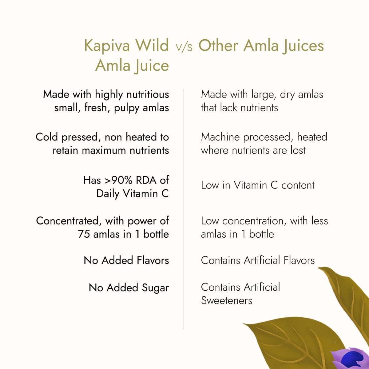 Wild Amla Juice (1L) | Suitable for Healthy Hair & Skin | Natural Source of Vitamin C | Organic & Natural Juice Made with Cold Pressed Amla from Pratapgarh | No Added Sugar - Image 5