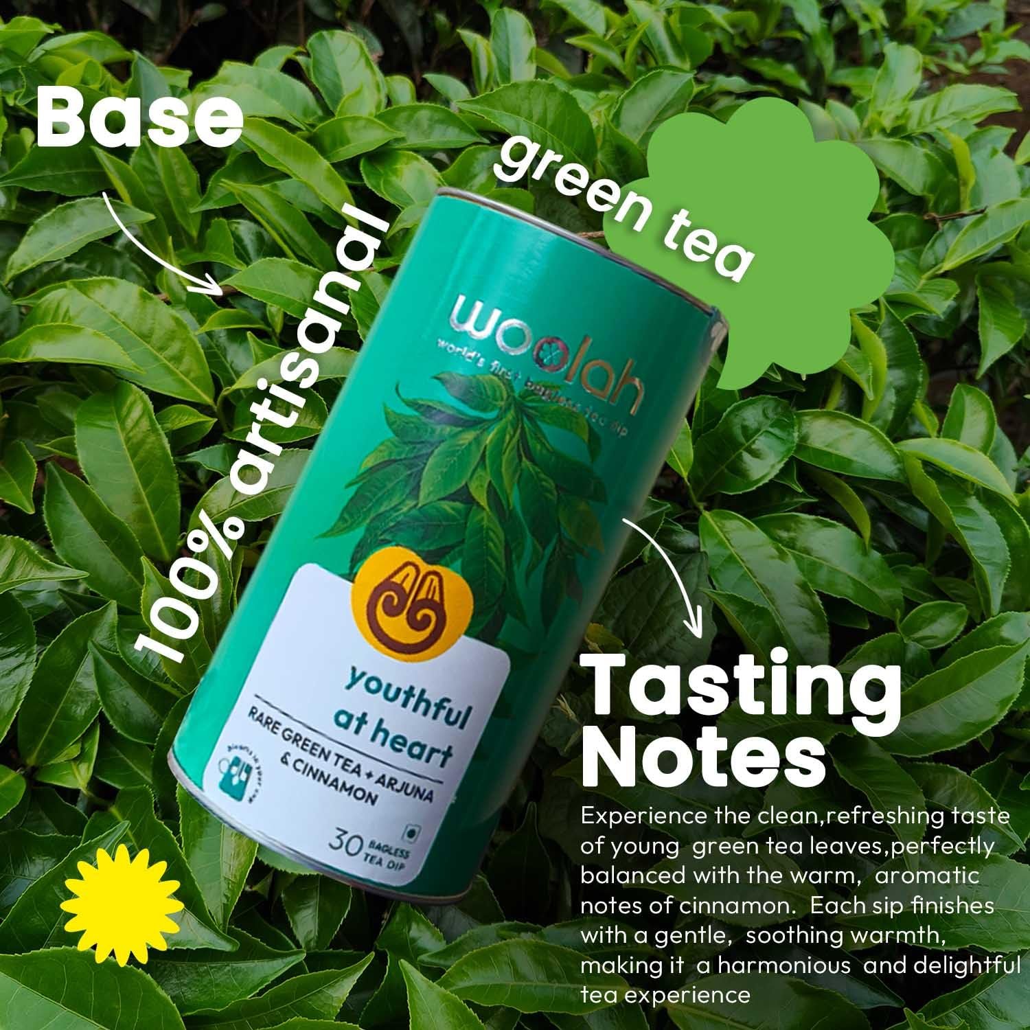 Bagless Whole Leaf Green Tea with Arjuna & Cinnamon | Naturally Grown | Rich in Antioxidants | Heart-Friendly Wellness Tea | Plastic-Free Brewing | (30 Dips/60 cups) - Image 7