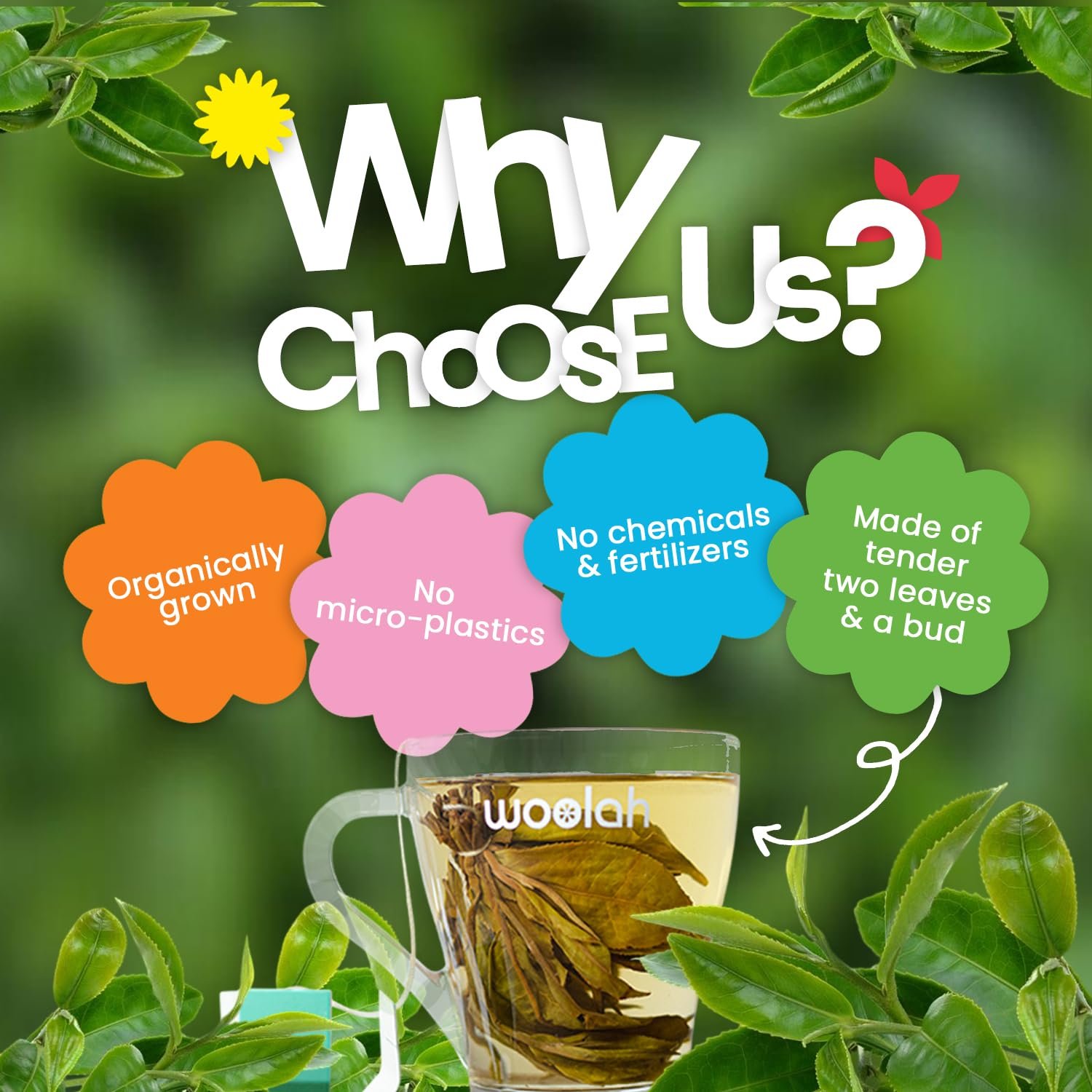 Bagless Whole Leaf Green Tea with Arjuna & Cinnamon | Naturally Grown | Rich in Antioxidants | Heart-Friendly Wellness Tea | Plastic-Free Brewing | (30 Dips/60 cups) - Image 3