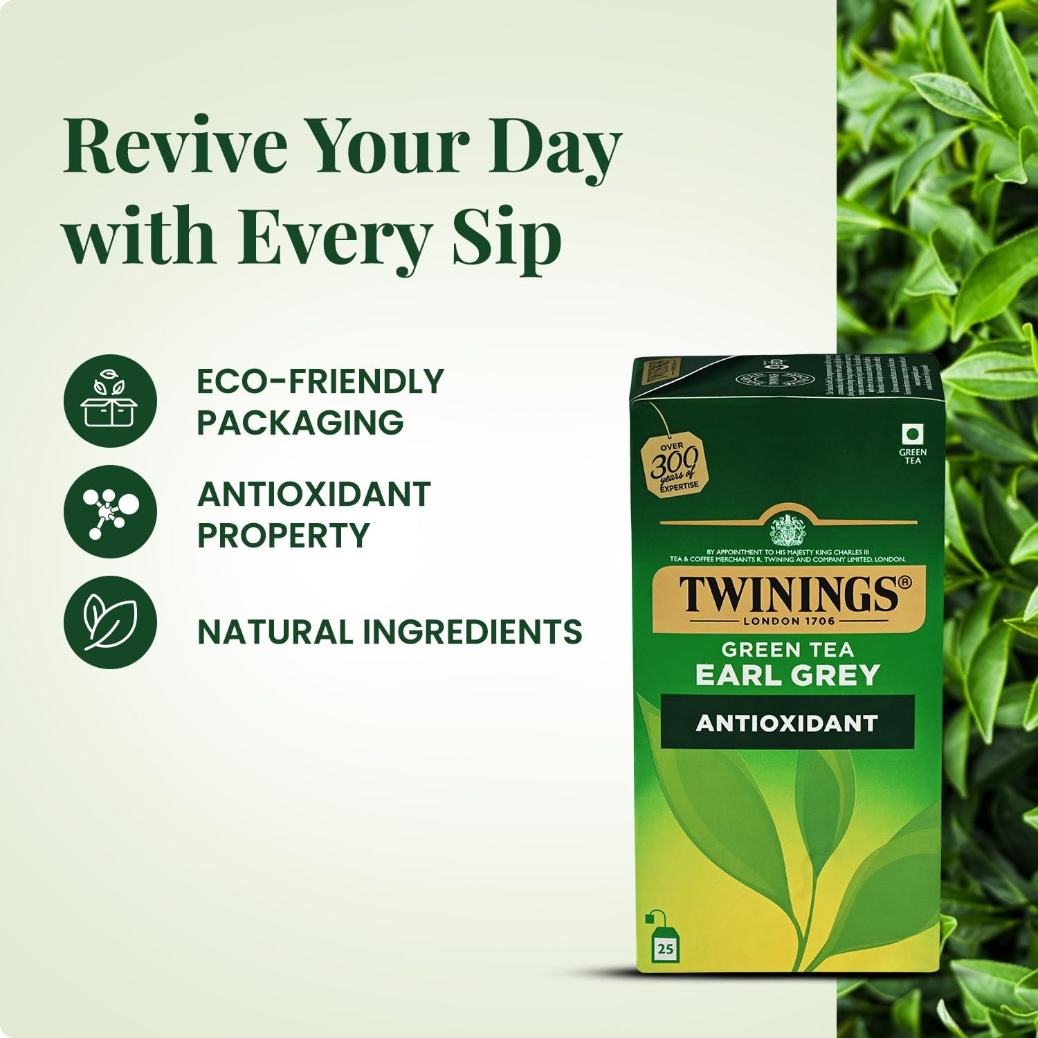 Green Tea & Earl Grey, 25 Tea Bags| Pack of 1| Perfectly Balanced & Refreshing Taste| With Light, Citrusy Flavour of Bermagot| Low Calorie| Handpicked Green Tea Leaves| Enjoy a Hot Cup of Tea - Image 3