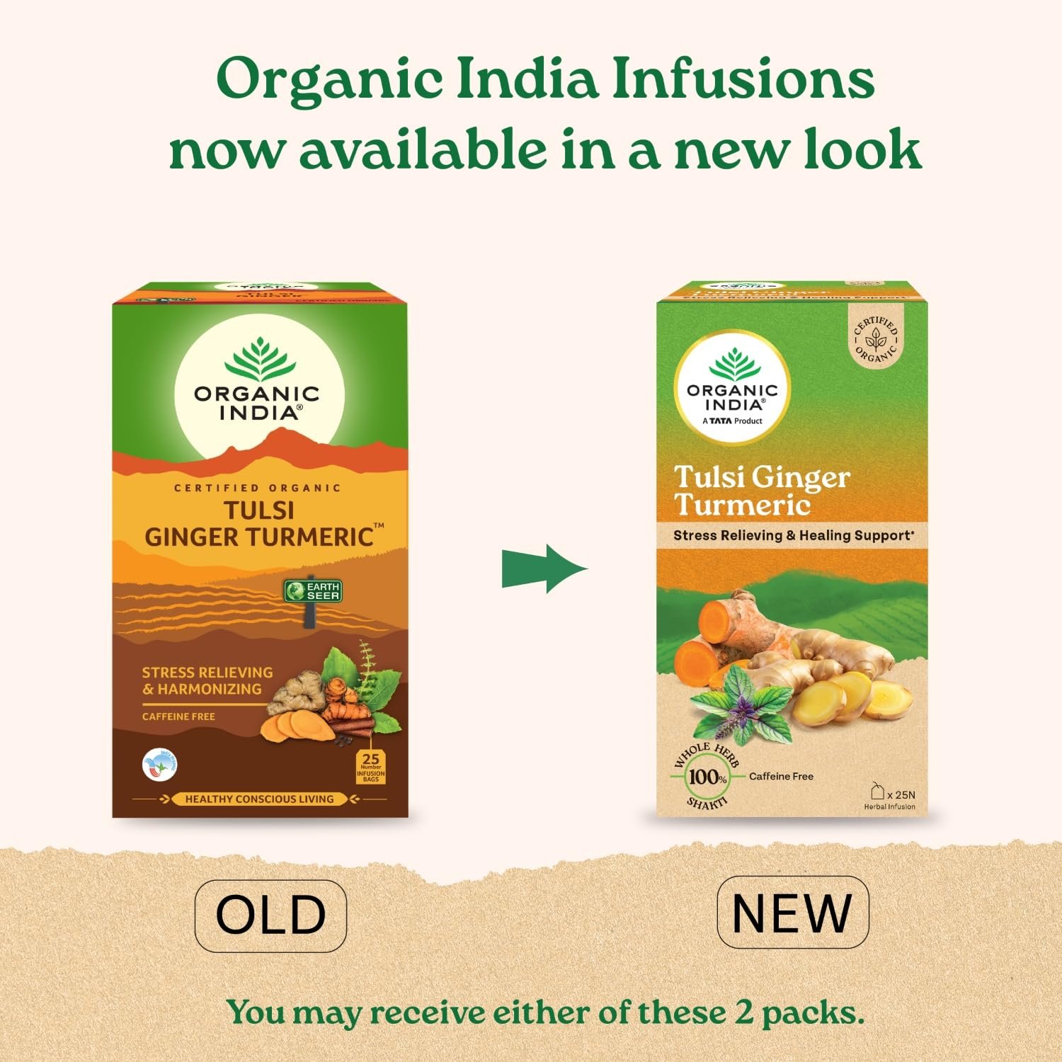 A TATA Product Tulsi Ginger Turmeric - 25 Tea Bags, Boosts Immunity, Supports Healing & Recovery, Rich in Antioxidants, Made with Tulsi, Turmeric, Cinnamon, and Pepper - Image 3