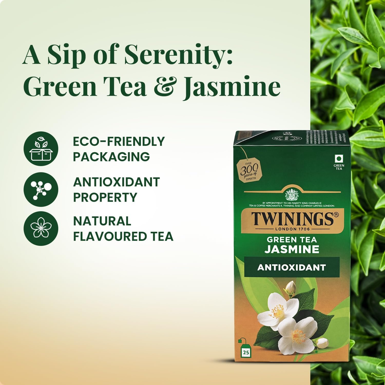 Green Tea Jasmine, 25 Tea Bags| Pack of 1| Perfectly Balanced & Refreshing Taste| Light, Flowery Aroma| Low Calorie| Handpicked Green Tea Leaves| Enjoy a Hot Cup of Tea - Image 3