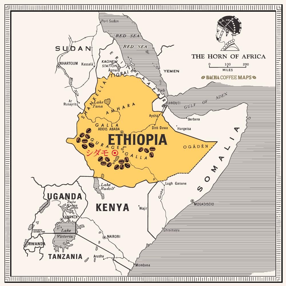 Yirgacheffe Decaf Ethiopia Single Origin, Medium Dark Roast, 100% Arabica Specialty Coffee, 12 Coffee Drip Bags, Gift Box - Image 3