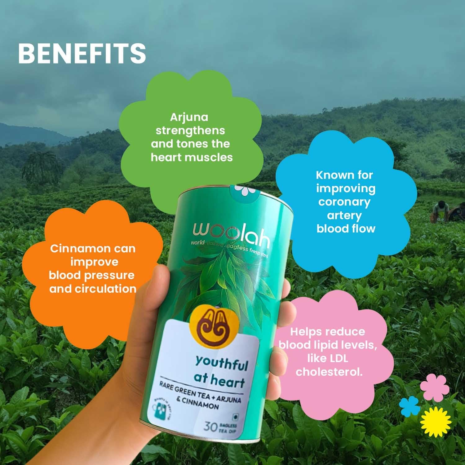Bagless Whole Leaf Green Tea with Arjuna & Cinnamon | Naturally Grown | Rich in Antioxidants | Heart-Friendly Wellness Tea | Plastic-Free Brewing | (30 Dips/60 cups) - Image 4