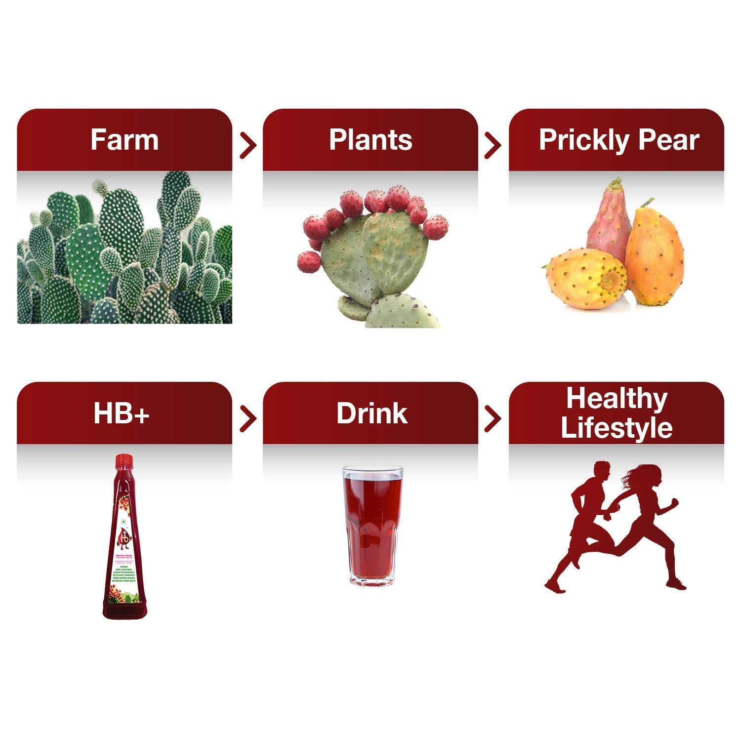 Prickly Pear Fruit Nectar Juice, Powerful Antioxidant, Sweetened with Stevia, Red, 750 ml (Pack of 4) - Image 4