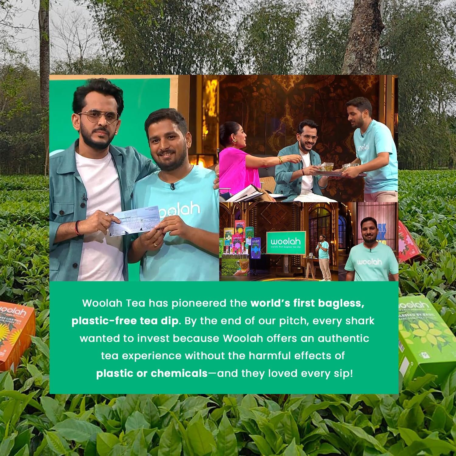 Bagless Whole Leaf Green Tea with Arjuna & Cinnamon | Naturally Grown | Rich in Antioxidants | Heart-Friendly Wellness Tea | Plastic-Free Brewing | (30 Dips/60 cups) - Image 6