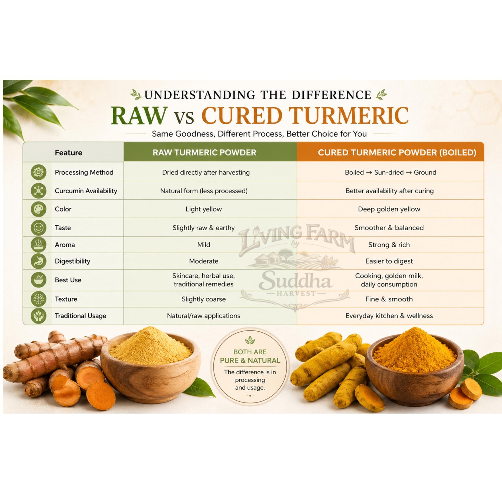 Village Culture Combo- Cured Turmeric Powder & Raw Turmeric Powder, Pack of 2- 200g Each (200X2) - Image 3